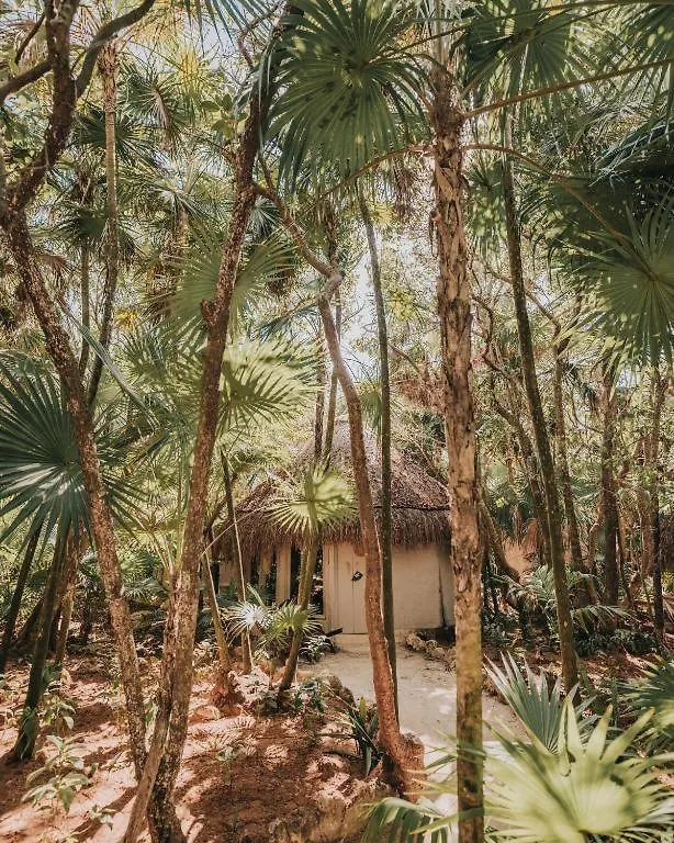 Hotel Art Village Tulum